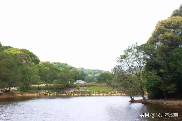 别总窝在家了！深圳这9座山风景超好！周末登山走起