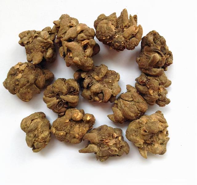 消除甲状腺结节、乳腺结节、淋巴结节、乳腺增生的中药——猫爪草