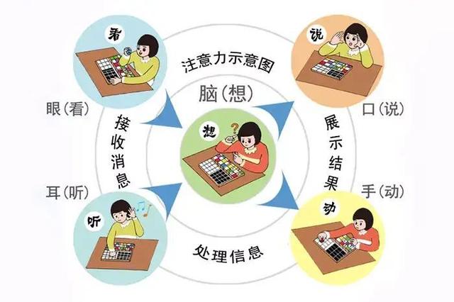 2-6岁孩子这样玩贴贴书，锻炼专注力，越玩越聪明，家长收藏