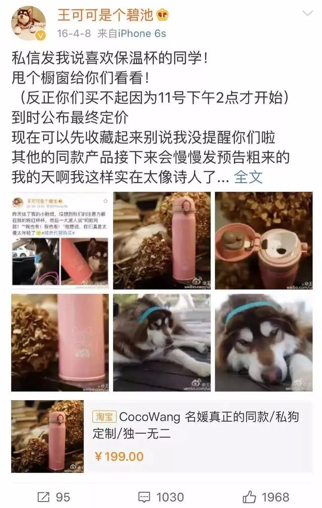 红小胖snoopy微博