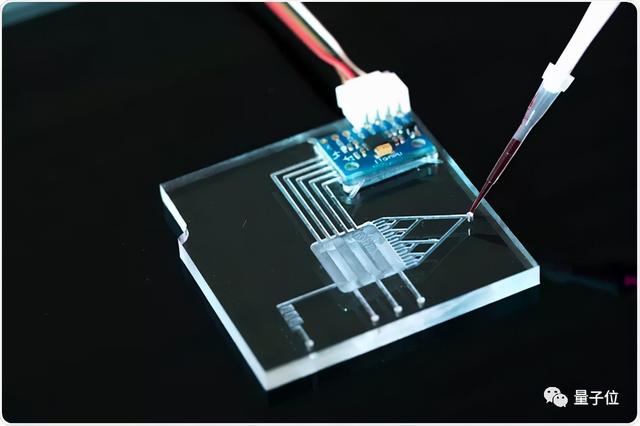 Meta研发触觉手套，有人想在元宇宙撸猫，有人产生大胆的想法