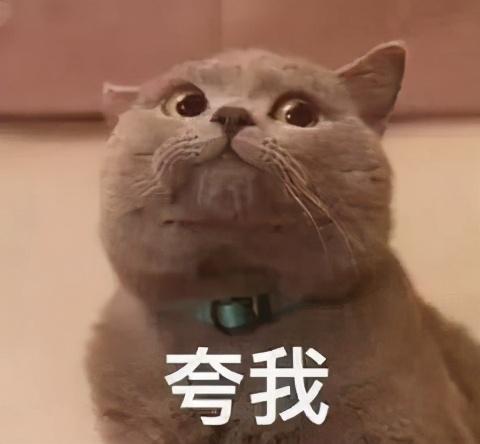 今日份分享：石猴授徒小技巧，你get了吗？