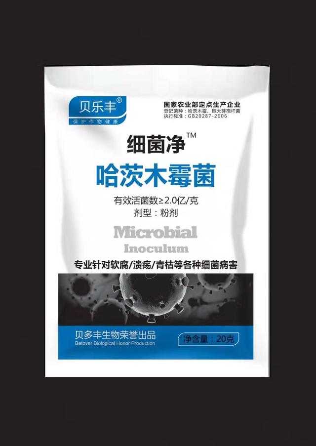 黄瓜靶斑病应该如何防治？做到这5点，可以防治90%以上5