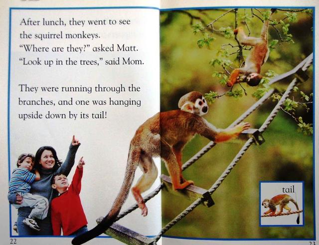 儿童英语科学启蒙绘本DK  Readers分级读物DK  pre--level  4