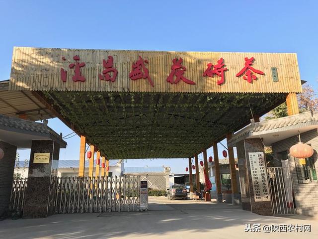 亮星展旗强堡垒党建工程