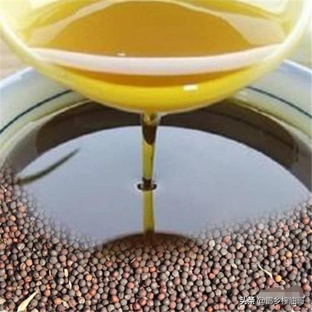 最新菜籽油过滤机