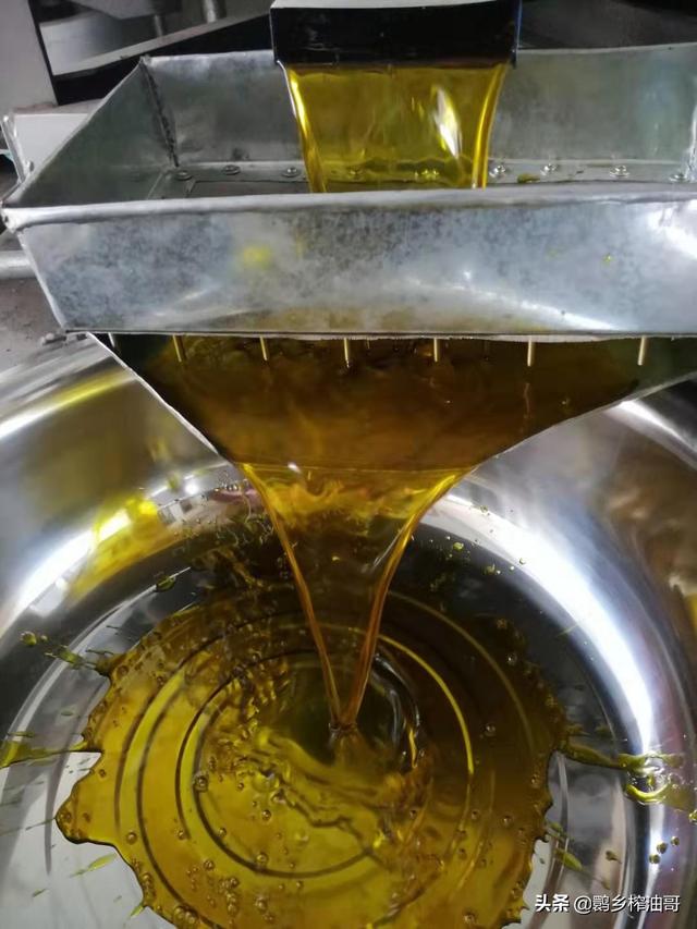 最新菜籽油过滤机