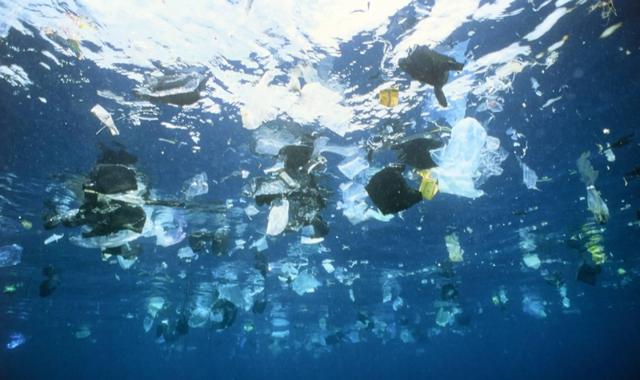 1万多米深的海底有什么？科学家发现了不该发现的东西：塑料