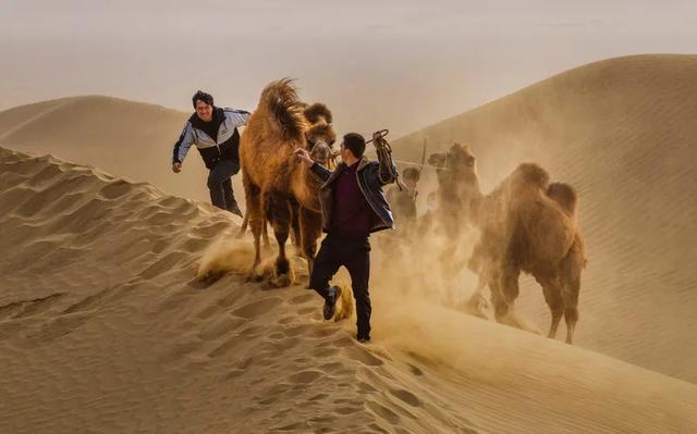 图赏 | 叶城:摄影促交流,图像展新貌