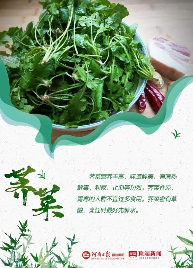 郑州野菜采摘地图出炉！香椿、荠荠菜...挖野菜全攻略，还不赶紧收藏