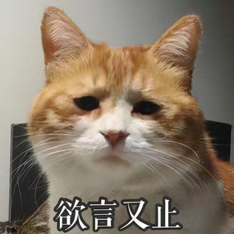 失眠吃酸枣仁没效果？可能是你吃法错了