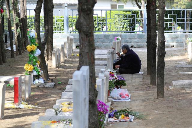 清明上坟，携带水果有讲究，老传统讲究“5忌4不带”别不当回事
