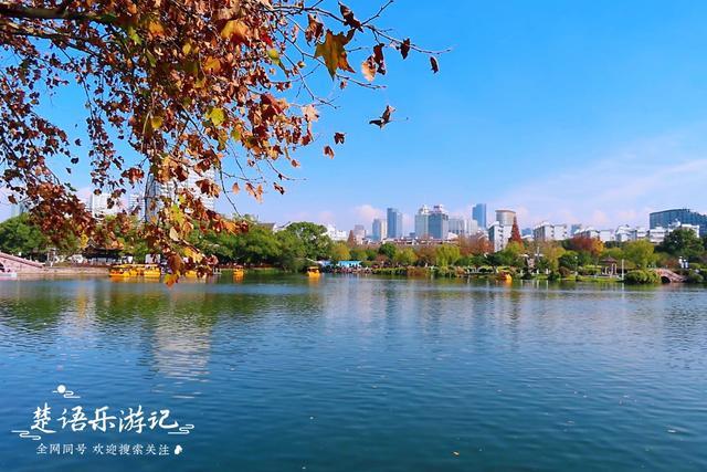 身爲5A景區卻堅持免費，秋色斑斓到處如畫，甯波這個景點讓人驚豔