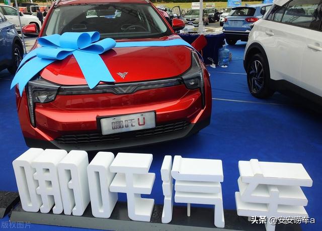 燃油涨价了准备买新能源车，结果新能源车又涨价了，买车纠结了吧