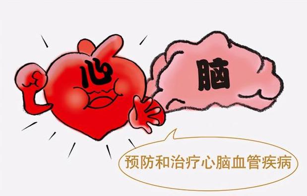 心血管患者吃他汀，血脂已经恢复正常，可以减半或者停止服用吗？