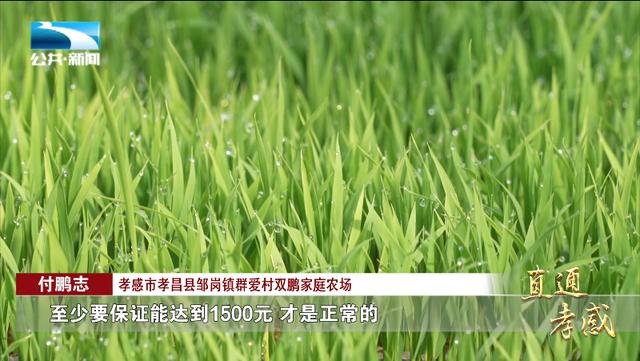 付鹏志：请叫我新农人