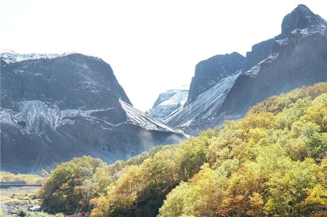 吉林长白山遍地倒木原始森林里的鲸落万物生 新闻时间
