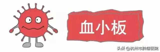 一年之計在于春，健康體檢正當時，其中這項檢查報告你看懂了嗎？