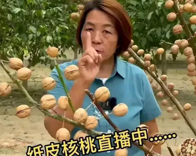 “学英语不如插秧？”人大代表提议取消英语，获大众全力支持