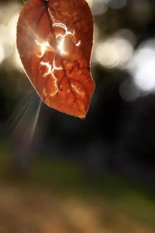 想离开这个世界，你曾经想过吗？