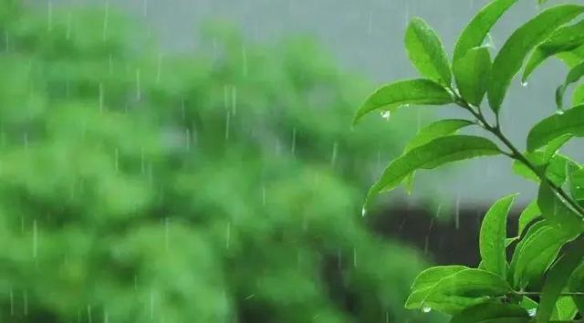 今天辽宁降水来临！最新天气赶紧查收