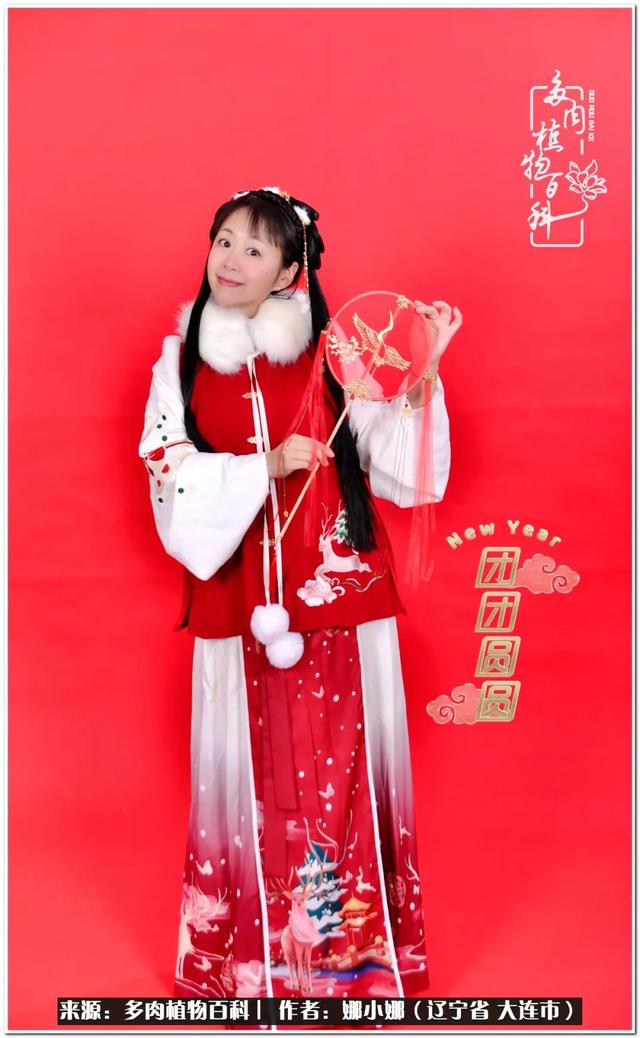 辽宁螺旋洗砂机出售