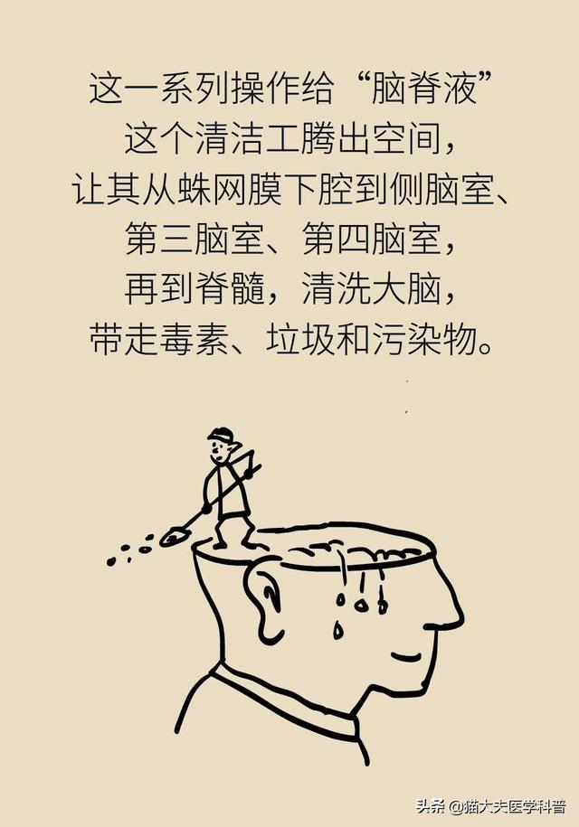 睡眠日丨睡不好的后果远比你想得更严重，你可能会变傻
