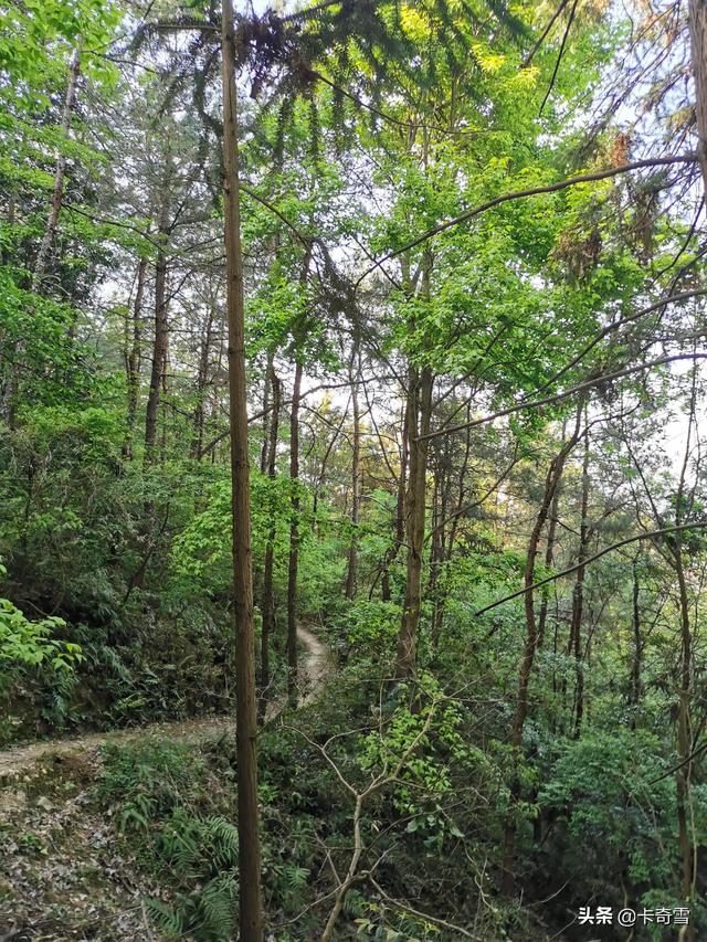 随手一拍就是风景