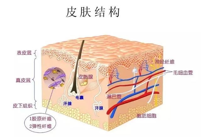 坑坑洼洼是什么意思