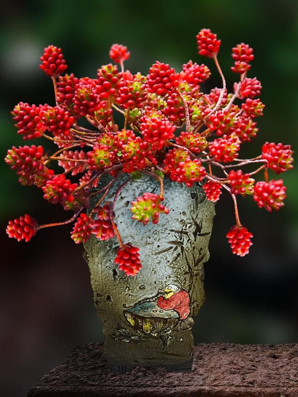 肉肉植物图片（多肉植物图片手绘）