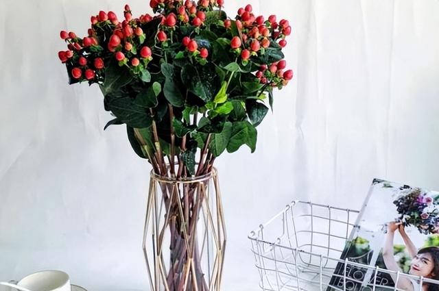 水里加什么可以让鲜花更持久（在水里加什么花能保持新鲜）