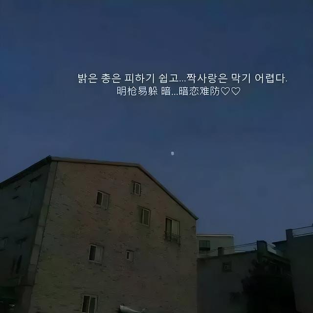 20个令人惊艳的句子（终身收藏）