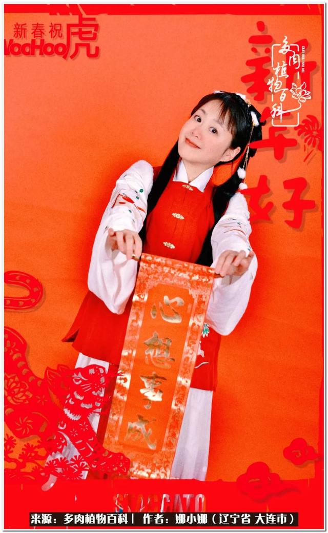 辽宁螺旋洗砂机出售
