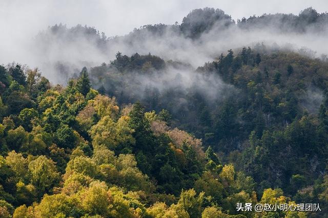 「科普一下」小孩跳舞音乐（小孩跳舞音乐有节奏感的）