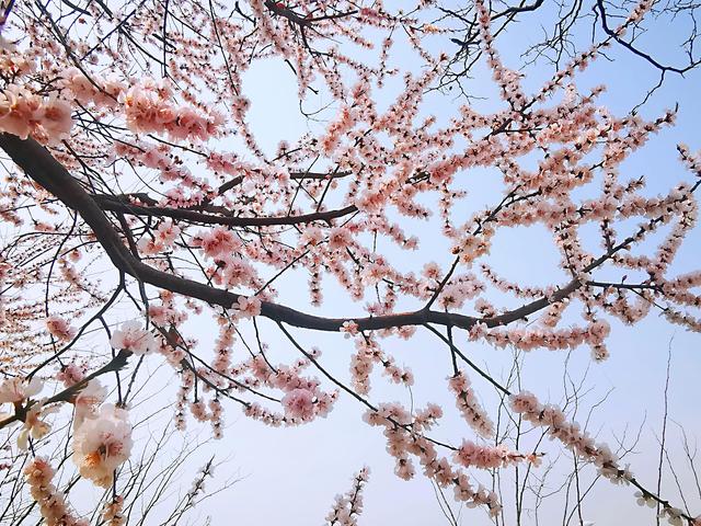 给自己留出点闲田空地