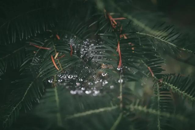 怎么防止生病呢？