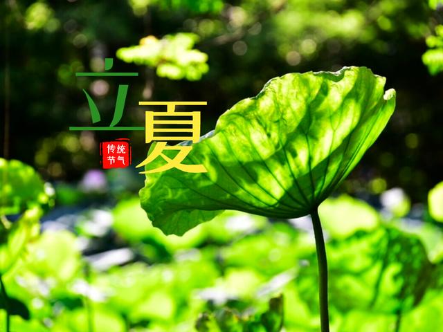 今日立夏：养生牢记“3事不做，2物少吃”，夏天少生病