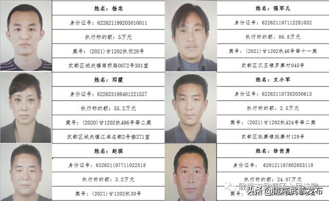曝光! 武都区法院公布2022年第一批失信被执行人名单（172人）