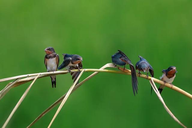 头皮发麻鸡皮疙瘩