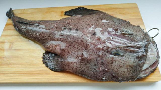 深海鱼有哪些，市场上卖的哪种鱼是深海鱼？