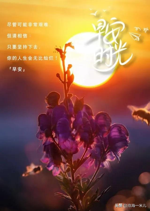 抖音歌曲怎么做手机铃声ios（抖音歌曲怎么做手机铃声免费）