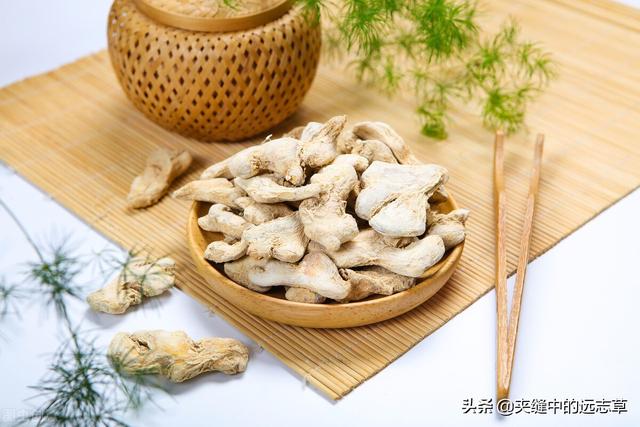 血脂高？多源于脾肾阳虚，送你六味中药，温脾肾、祛痰浊、化血瘀