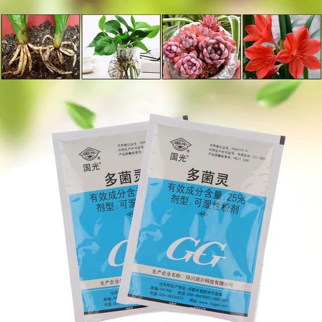 买花送的小包多菌灵你还在用吗？多菌灵怎么用效果好一些呢？7