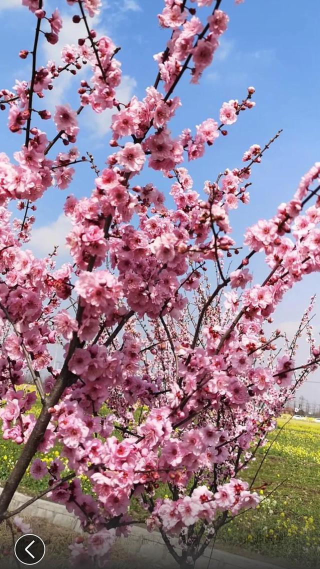 你了解二十四节气中的冬至吗？