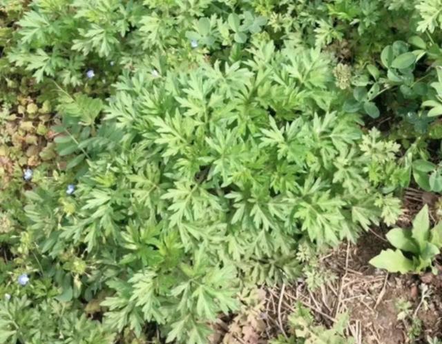 人这辈子就要轻松开心过好每一天