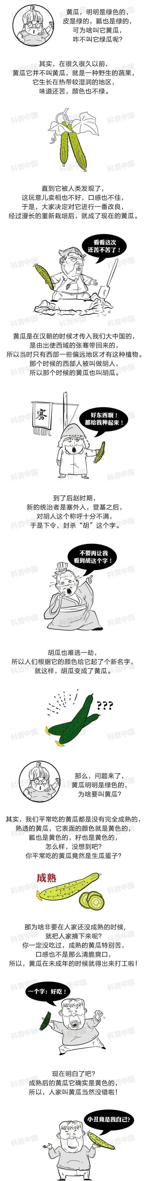 黄瓜为什么叫黄瓜