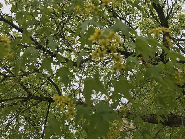 闲煮光阴慢品茶 从容不迫度年华