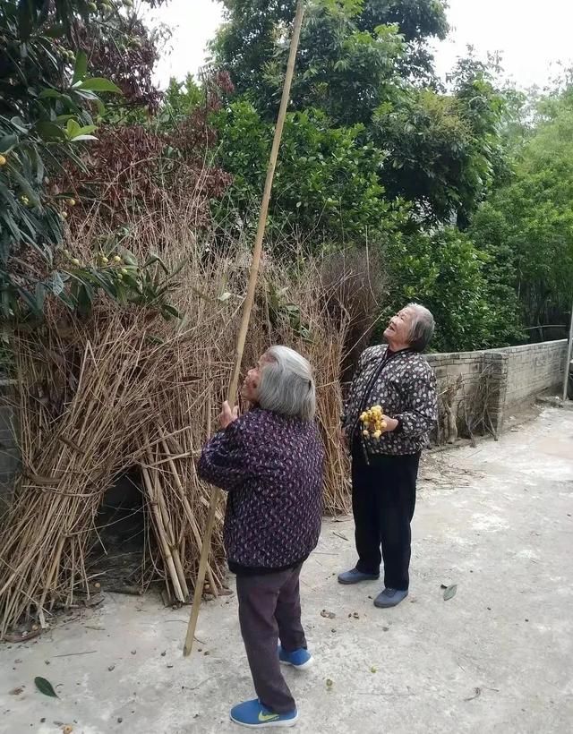 思乡是指什么意思