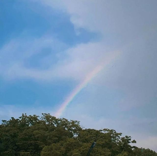 好看的ins风壁纸(好看的ins风壁纸少女)-天晟网