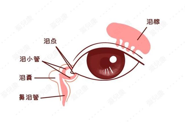 宝爸宝妈注意了，新生儿眼睛总是水汪汪，很有可能是病
